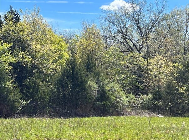 SE Malle Drive, Ada, OK 74820