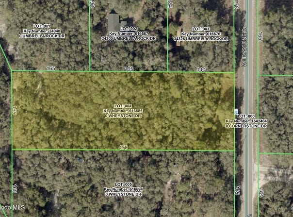 Wheystone Drive, Webster, FL 33597
