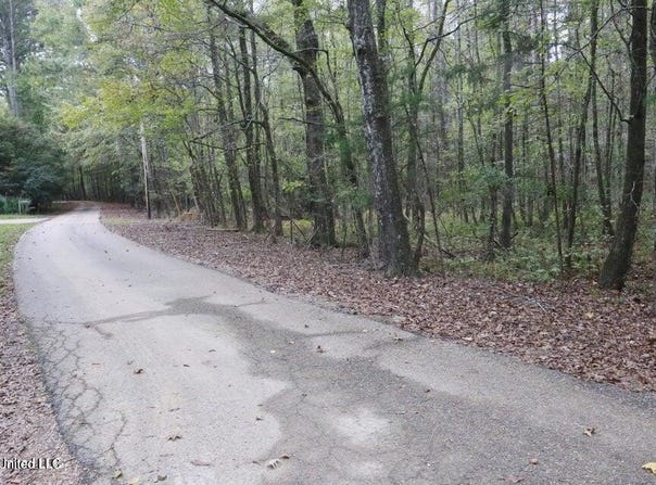 Westline Lots Drive, Madison, MS 39110