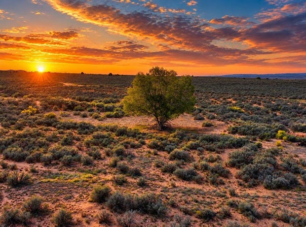 Off Blue Sage Road, Ranchos de Taos, NM 87557