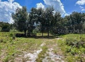 LAUREL OAK Avenue, MIMS, FL 32754