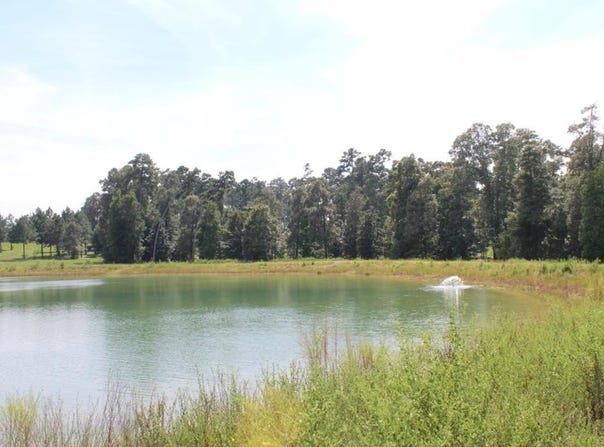 232 County Road 173, Jasper, TX 75951