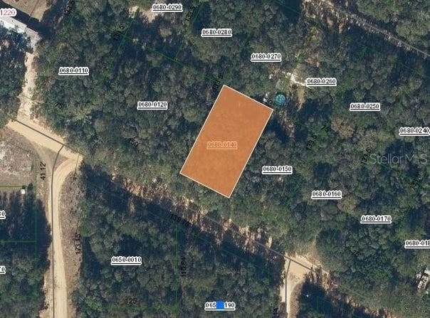 ANNETTE Avenue, INTERLACHEN, FL 32148