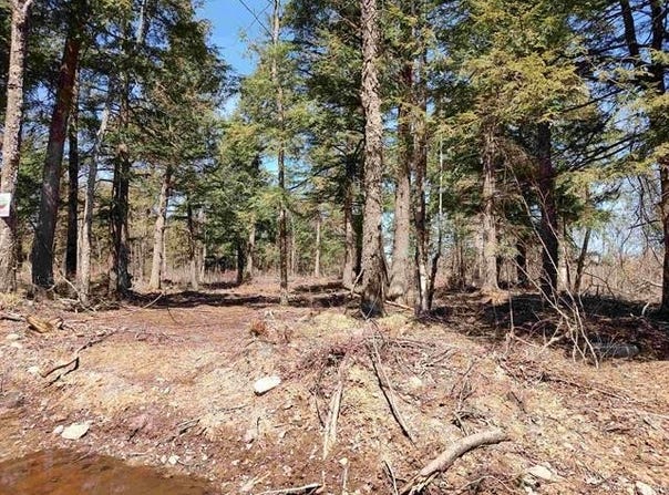 TBD Black Creek Road, Skanee, MI 49962