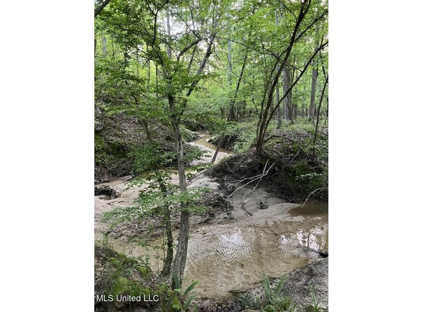 Ashley Road, Brandon, MS 39042