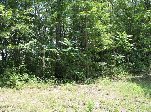 Tennessee 154, Jamestown, TN 38556