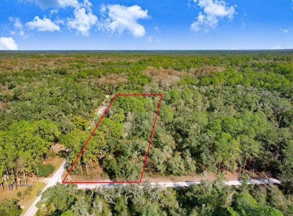 SONIA Avenue, WEBSTER, FL 33597