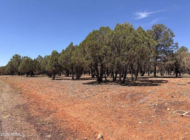 2756 Apollo Circle, Overgaard, AZ 85933