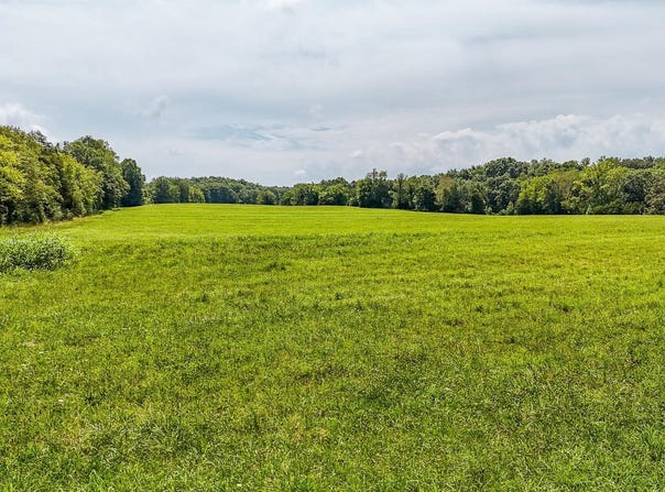 2245 BIG IVY Rd, Savannah, TN 38372