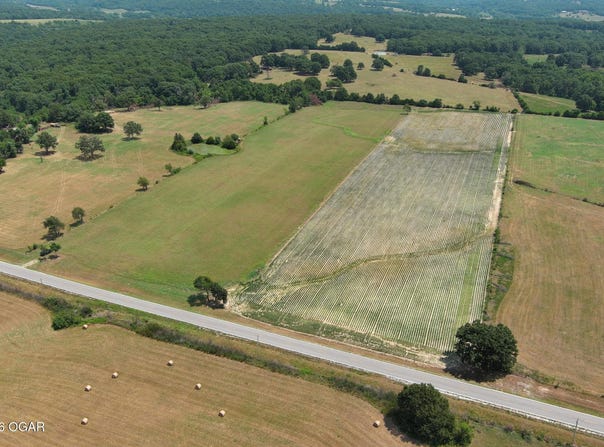 State Highway Y, Seneca, MO 64865