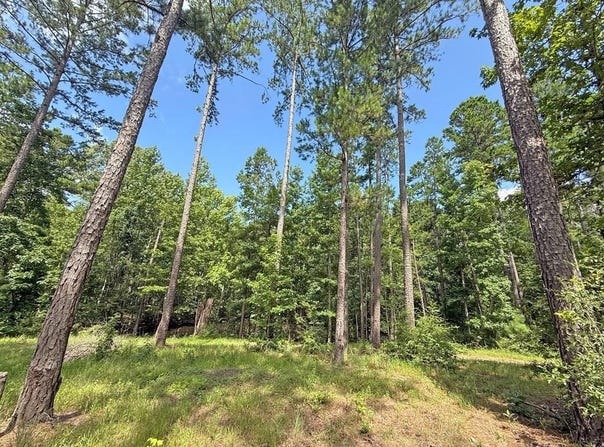 11638 SH 204, Cushing, TX 75760