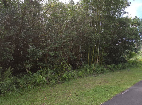 15-2782 MOI ST, Pahoa, HI 96778