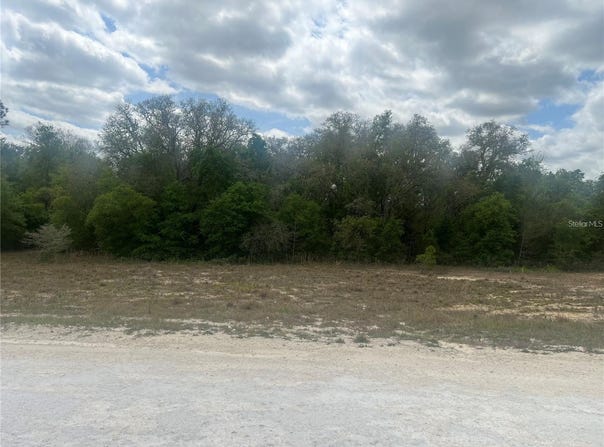CLEFT ROCK ST, WEBSTER, FL 33597