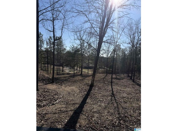 688 COUNTY ROAD 230, CLANTON, AL 35171