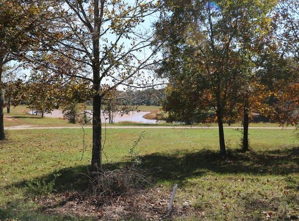 Wild Turkey Road, West Plains, MO 65775