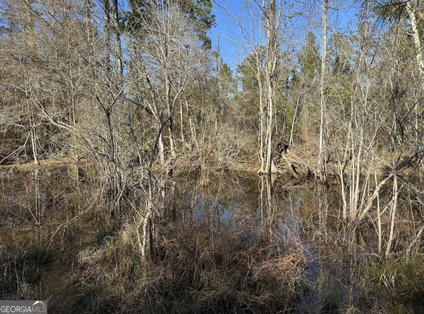 009 Mt Zion Road, Gordon, AL 36343