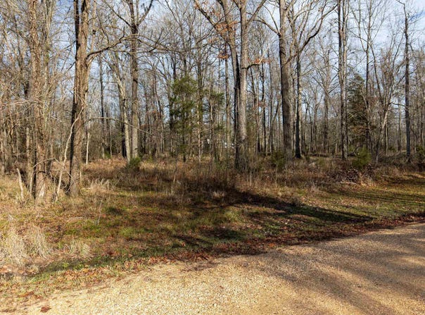 RIVER OAKS LANDING CIRCLE lot: 44, ORRVILLE, AL 36767