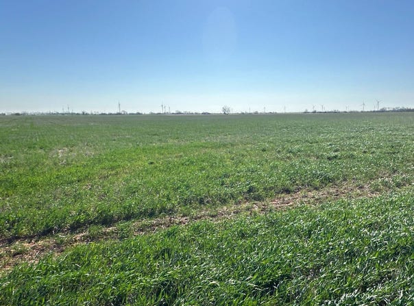 21480 E 1210 Rd, Dill City, OK 73641