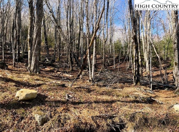 135 Lakeledge Circle, Beech Mountain, NC 28604