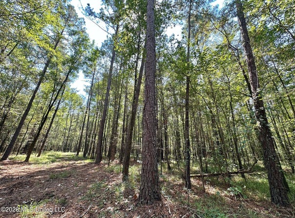 6 Forest Service Road 562, Pulaski, MS 39152