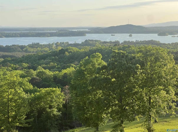 County Road 1015 lot: 21, Cedar Bluff, AL 35959