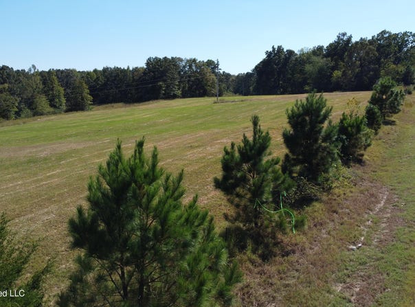 Old Mississippi 7 S, Holly Springs, MS 38635