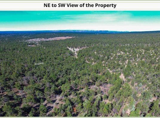 TRIPWIRE Ln, Grants, NM 87020