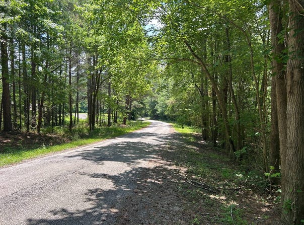 Fish Hatchery Road, Carbon Hill, AL 35549