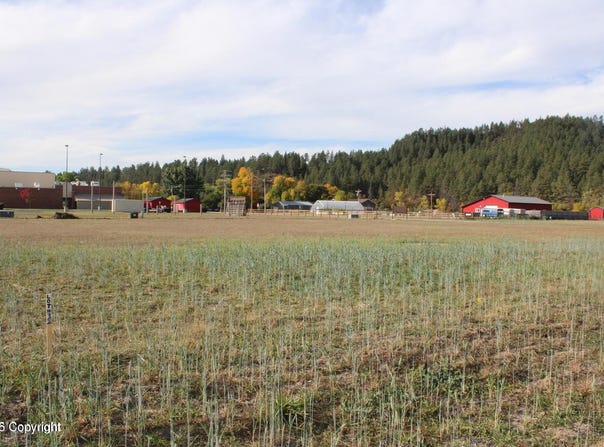 232 Red Devil Dr, Hulett, WY 82720