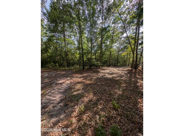 Peyton Drive lot: 2R-2, Eagle Springs, NC 27242