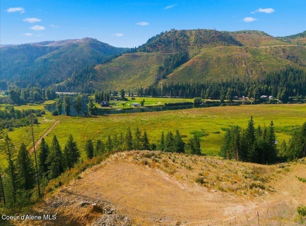 484 Ahrs Loop Rd, St. Maries, ID 83861