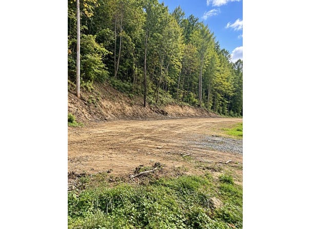 16860 Bent Mountain Rd, Sidney, KY 41564