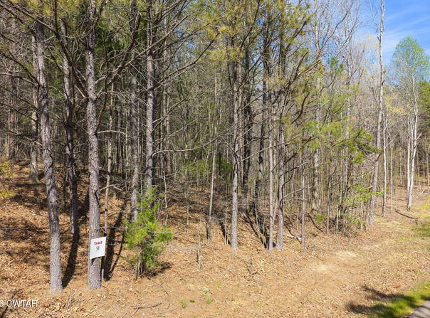 1070 Pollock Road, Huron, TN 38345