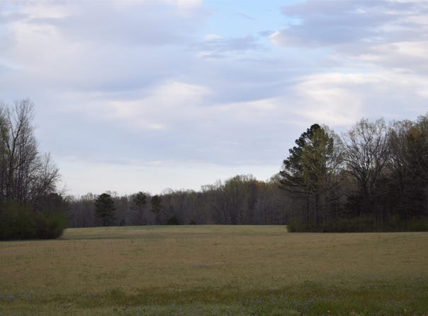 HWY 193 Rd, Williston, TN 38060