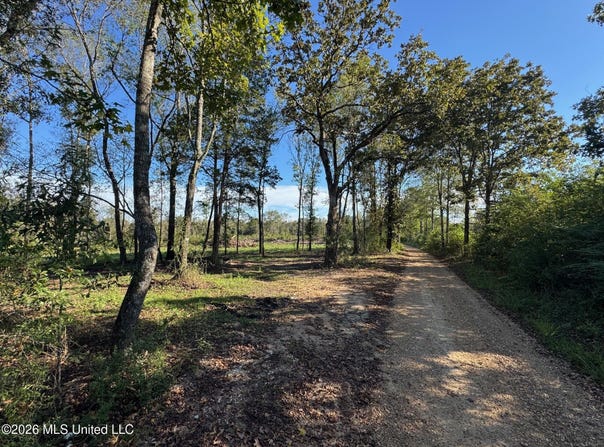 Emma Kelly Road, Magnolia, MS 39652