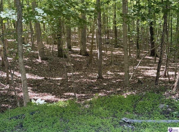 Raspberry Court lot: 569, Brandenburg, KY 40108