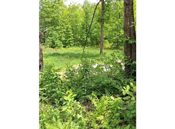 209 Adams Road, Chesterville, ME 04938