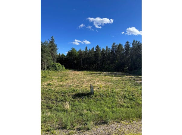 RED TAIL HAWK DRIVE lot: 30, Stevens Point, WI 54482