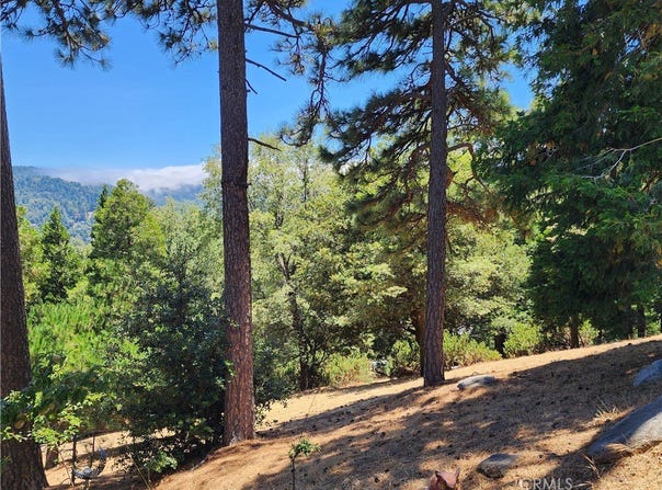 315 Weisshorn Drive, Crestline, CA 92325