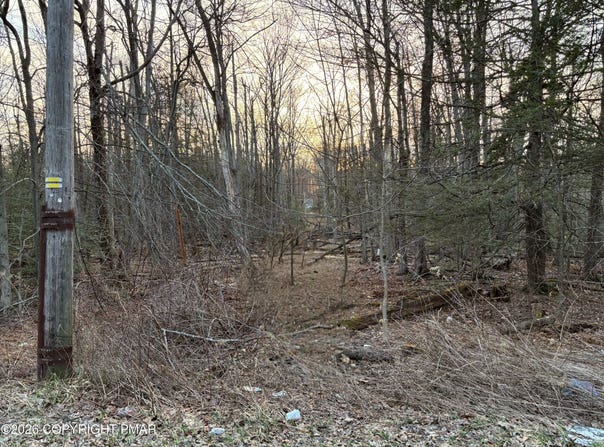 Jester Ct 905, Tobyhanna, PA 18466