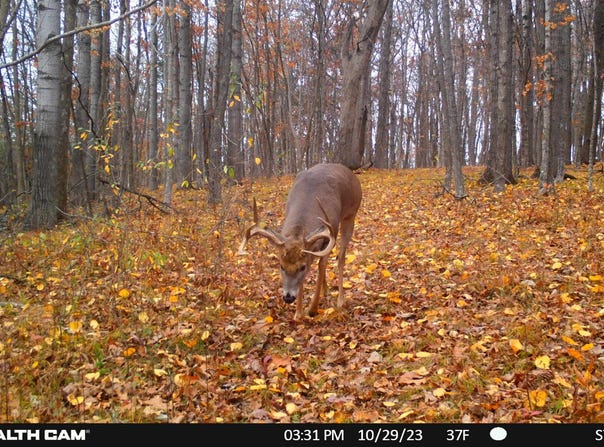 State Hwy 131, Viola, WI 54664