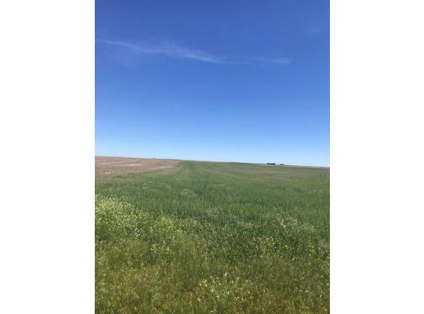 County Road 85, Dalton, NE 69131