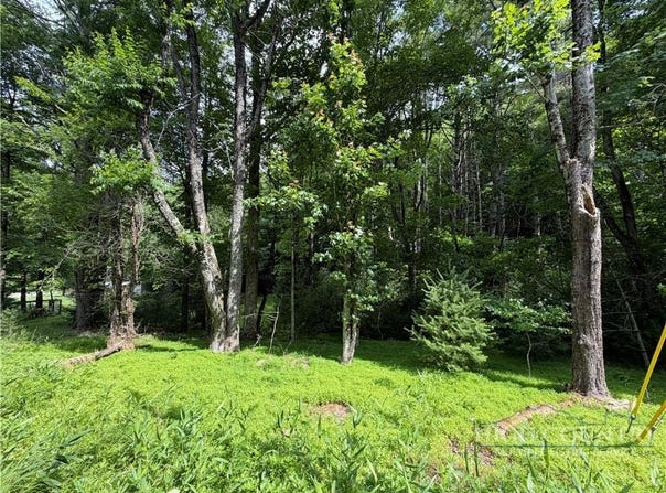 Kirkwood Heath Road, Boone, NC 28607