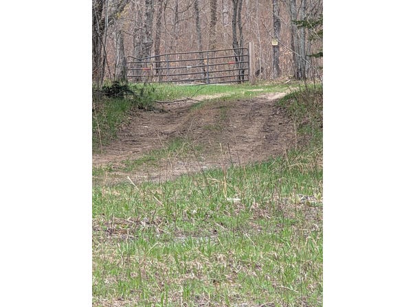 TBD S SPRUCE ST, HULBERT, MI 49748