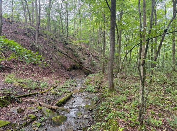 Dump Rd, Sugar Grove, PA 16350