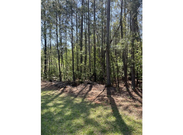 L14 B39 Antioch Drive, McCormick, SC 29835