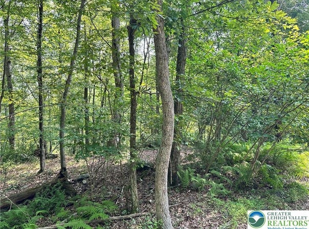 St Moritz Court, Price Twp, PA 18332