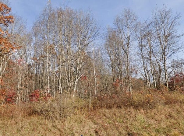 Morris Branch Road, Meadow Bridge, WV 25976
