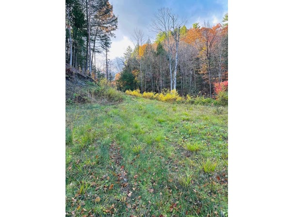 Missing Link Road, Springfield, VT 05156