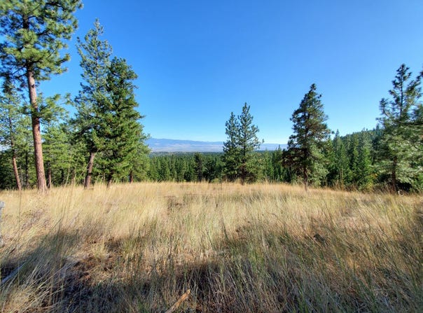 Elizabeth Road, Victor, MT 59875